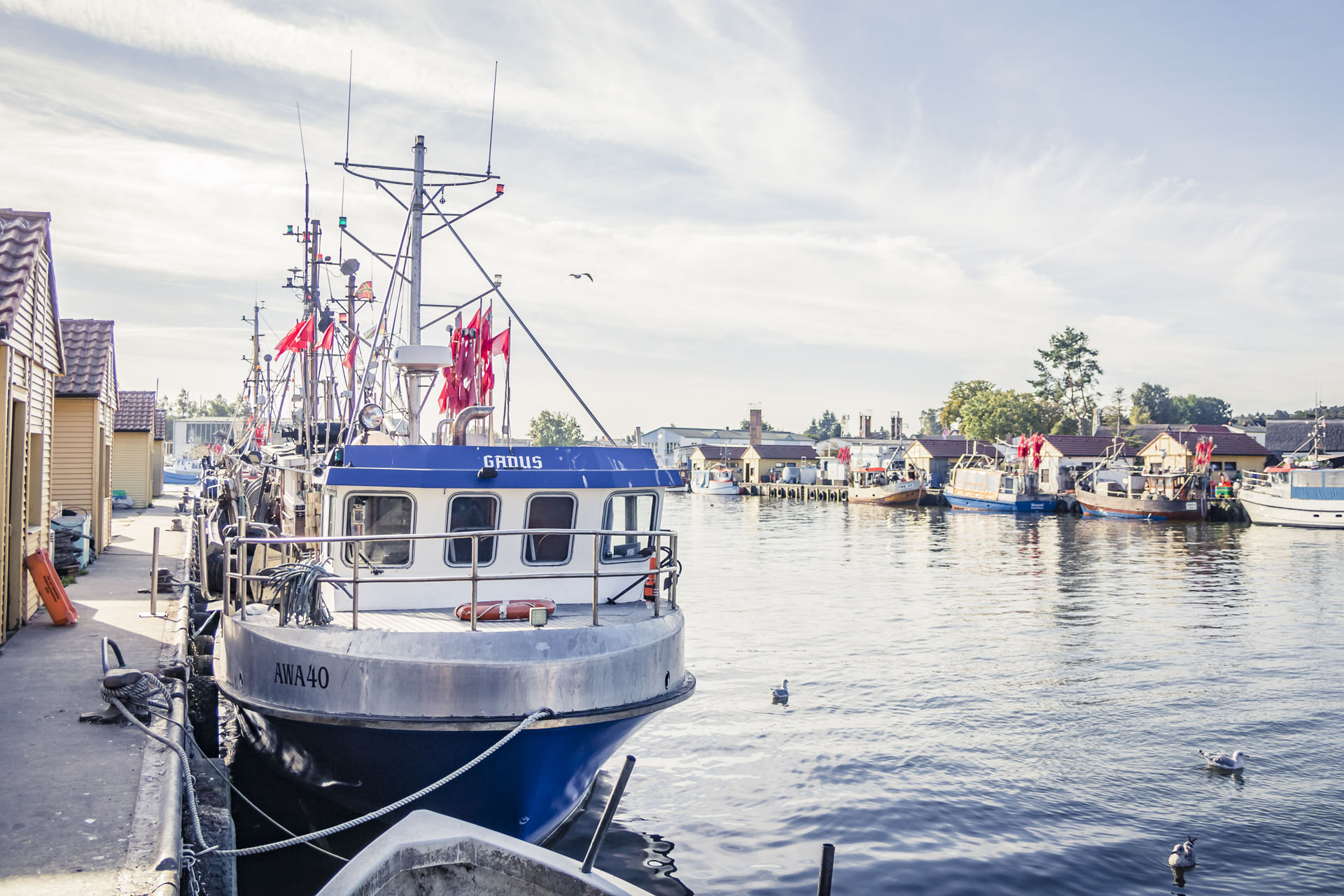 Ein blaues Fischerboot aus Metall im Hafen Freest